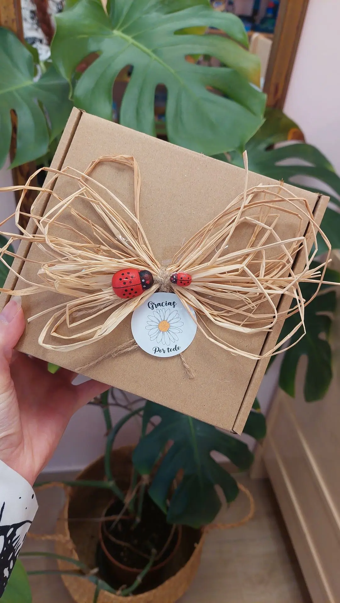 Envoltorio caja de regalo -  Ejemplo de regalo