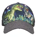 0013513_0013513_13513_2_original.webp