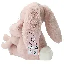 0013509_0013509_13509_7_original.webp