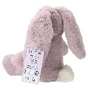 0013528_0013528_13528_7_original.webp
