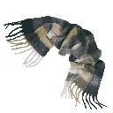 DA_0RI9659003000#2.webp